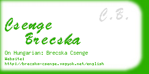 csenge brecska business card
